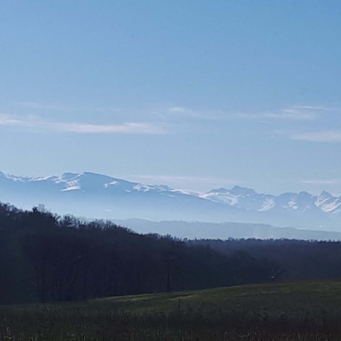 pyrénées